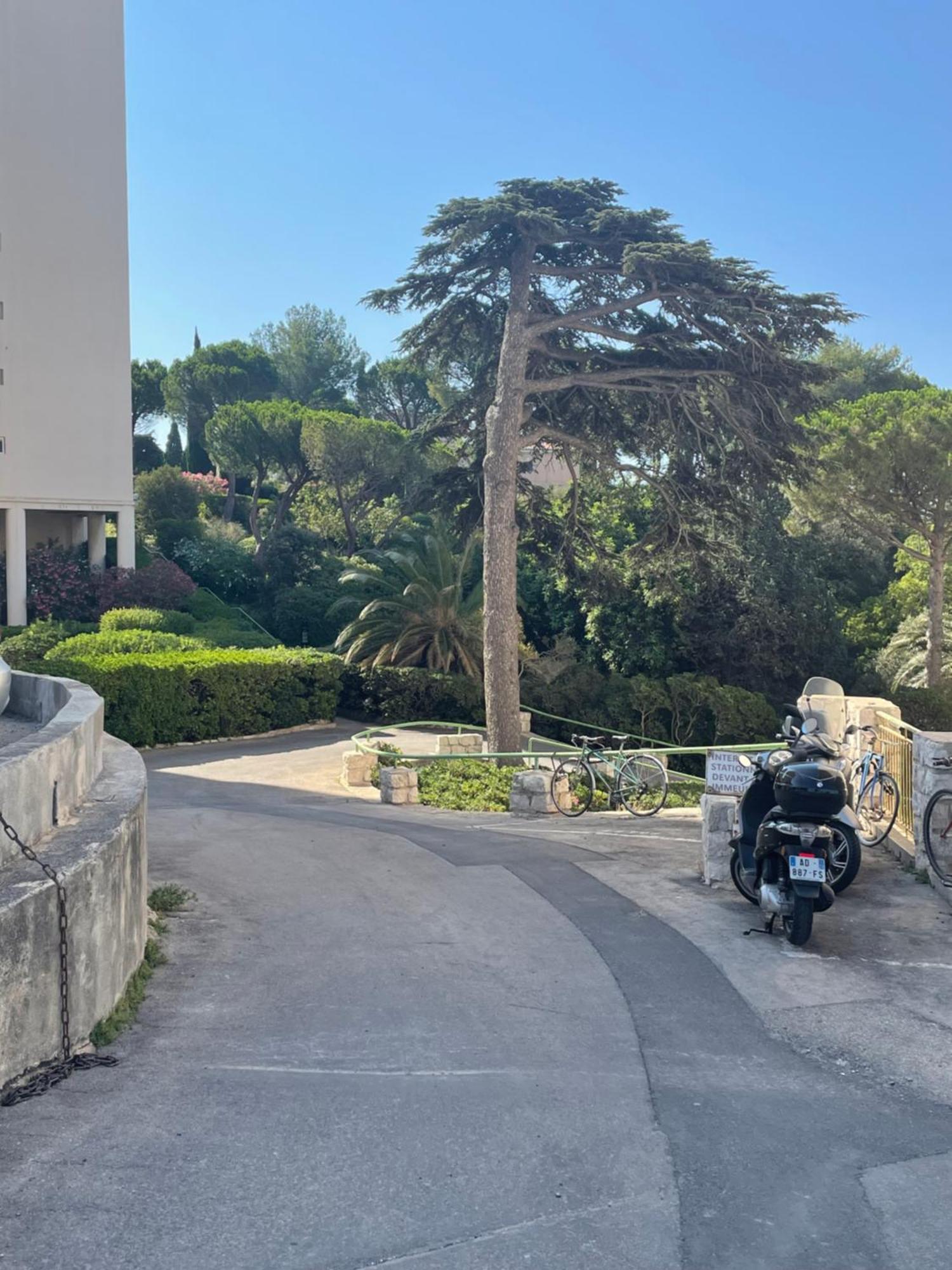 Vu Sur Mer Corniche Διαμέρισμα Μασσαλία Εξωτερικό φωτογραφία